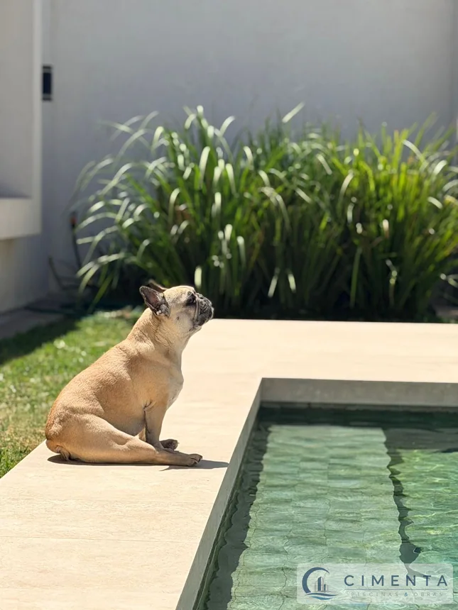 Proyecto de piscina terminado · Cimenta · Fotografía 21